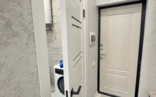 Studiya s balkonom Apartments