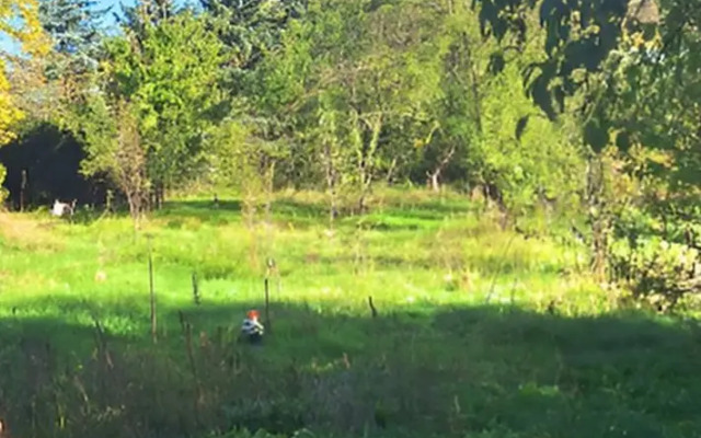 Частный дом Анна с тёплым бассейном