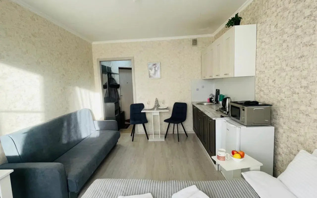 Квартира Уютная студия в п.Шушары