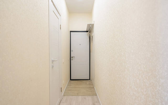 Квартира в центре Санкт-Петербурга