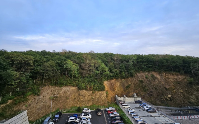 Квартира на Зелёном бульваре 19