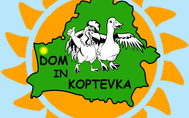 Dom in Koptevka