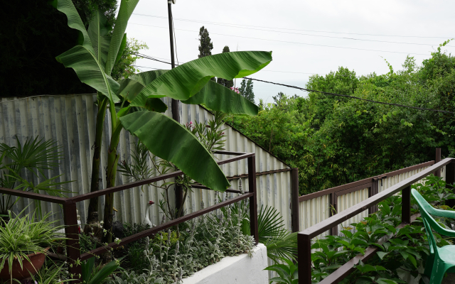Laza Guest House