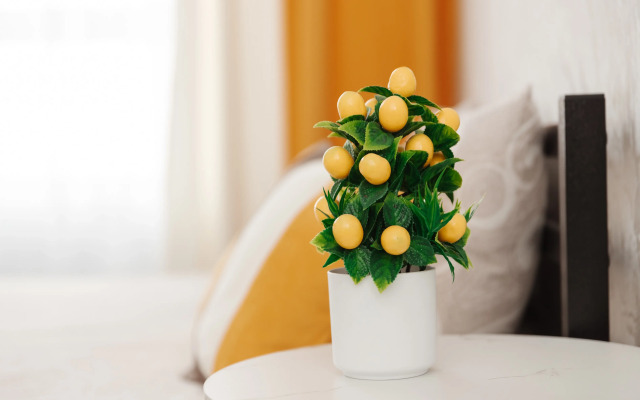 Квартира Однокомнатная рядом с Центром