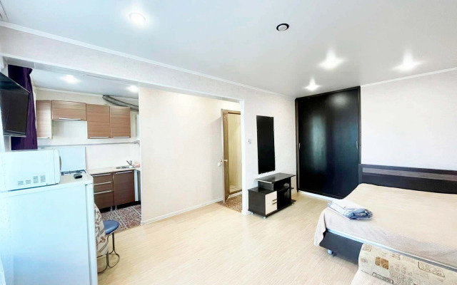 Квартира Astra в Центральном Районе