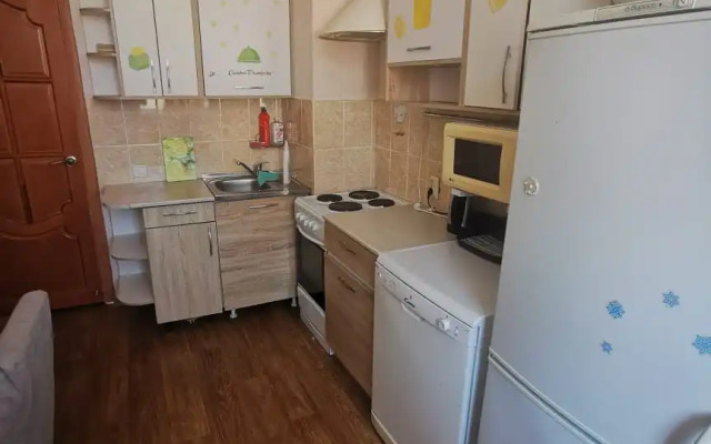 Квартира Ареал Однушка Аэропорт Тц Солнечный