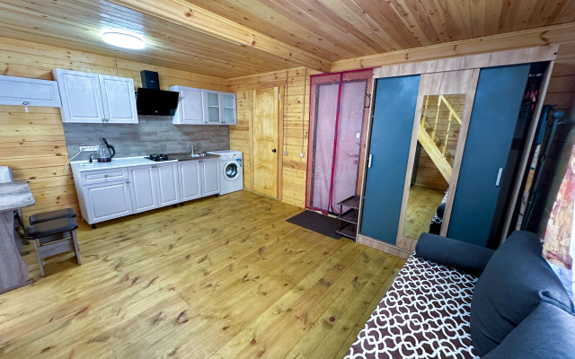 Private house Lebedinaya 9 Dom 1