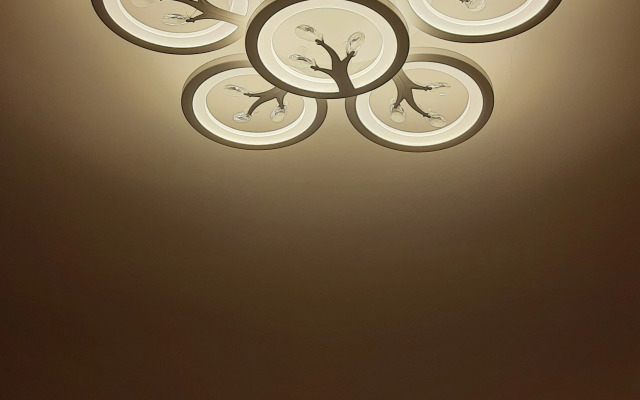 Апартаменты в белорусском стиле Беловежская пуща