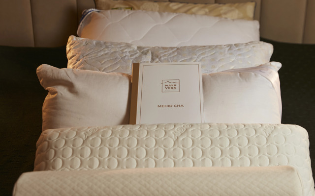 санаторий MAYRVEDA Kislovodsk