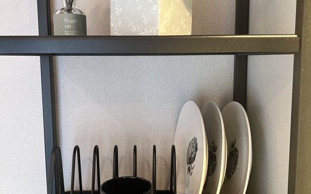 Mini-studiya na Krasnoy Flat