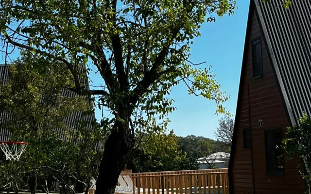 Ayfreymy Pitsunda Guest House