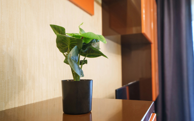 Flat Inndays Apartments Na Staronikitskaya 105b (2)