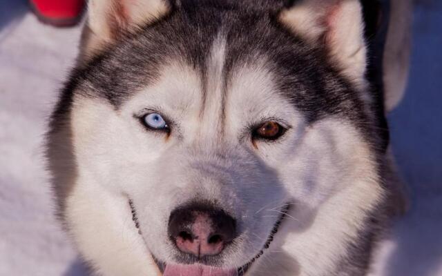 Отель Загородный клуб