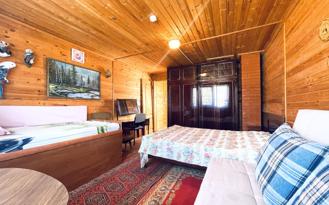 V TSN Plotskiy Lug Private house