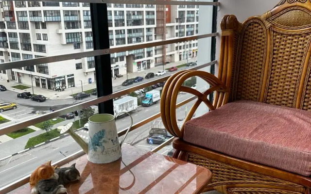 Uyutnaya V Otradnom S Bolshoy Lodzhiey Flat