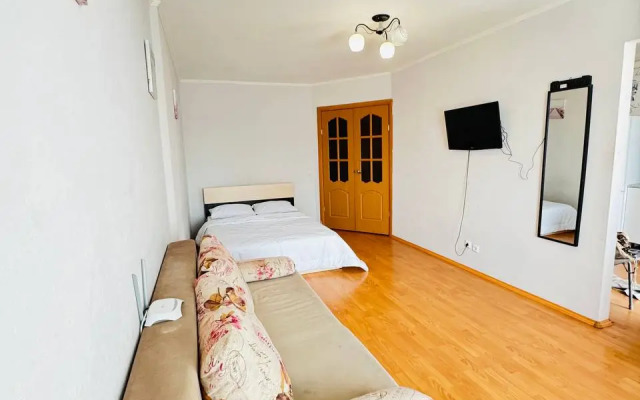 Квартира на Союзной Апарт96