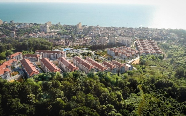 Monro Apartment