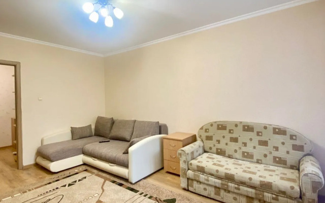 Na Chkalova 48A Flat