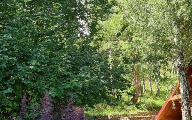 Kamenny Tsvetok Guest House