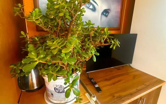 Na Vysote Guest House