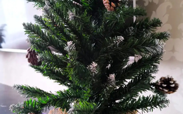 Апартаменты Двухкомнатные