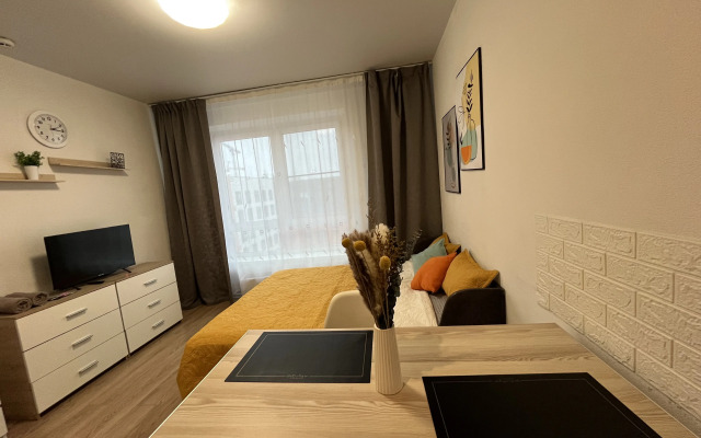 Vnukovo Apartment