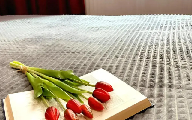 Квартира Студия