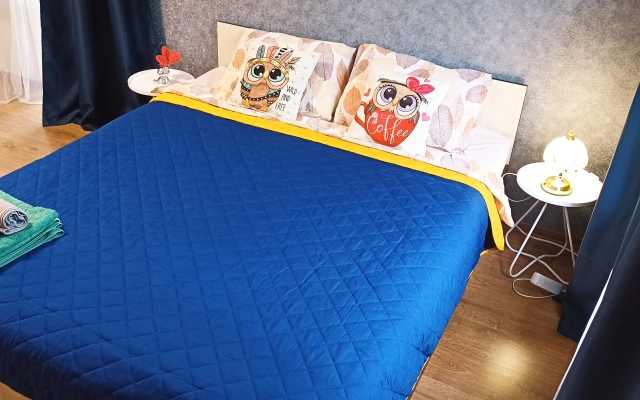 Tsentr U Ploschadi Pobedy Apartments