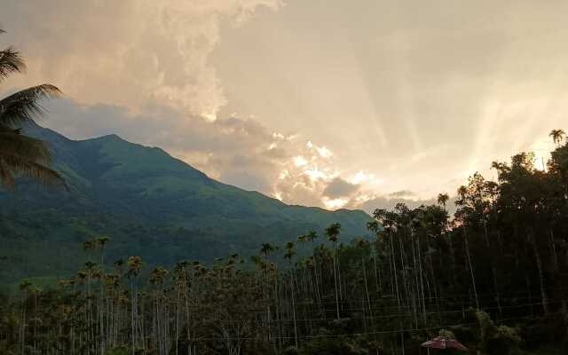 Jungle Valley Resort Wayanad Hotel