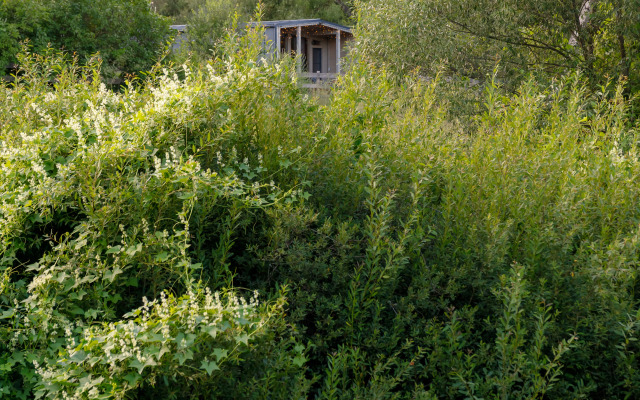 Частный дом Романовское подворье №2