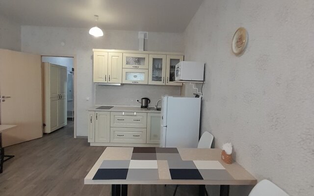 Апартаменты Светлогорский переулок 10