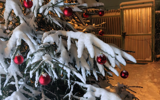 Частный дом в городе Петрозаводске с красивым уединённым участком и баней