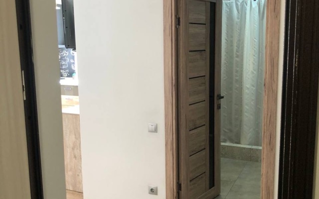 Studiya S Balkonom Flat