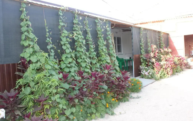 Гостевой дом 1388784 - фото 4