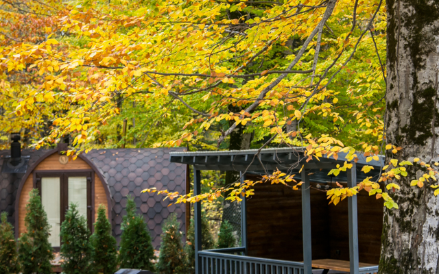 WoodVillas Recreation camp
