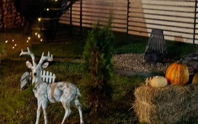 Частный дом на Каштановой 219