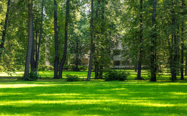 Volynskoye Congress Park