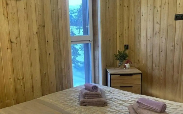 Guest house V Sheregeshe 1