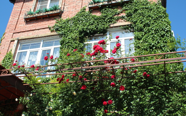 U Druzej Guest House