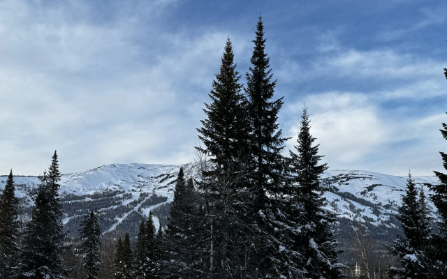 Частный дом с видом на лес и горы