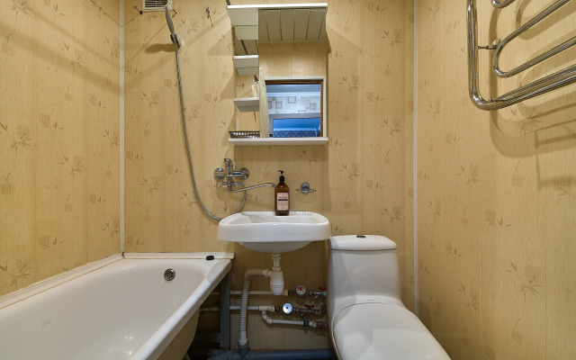 Квартира Однокомнатная экономкласса на Звездной