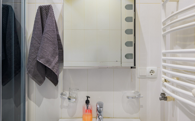 Prostornaya Kvartira v Delovom Tsentre Tbilisi Flat