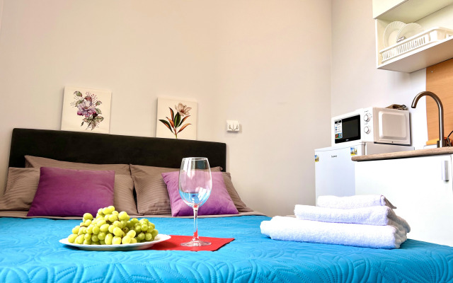 Studiya 3 Good Sleep V Odintsovo Flat
