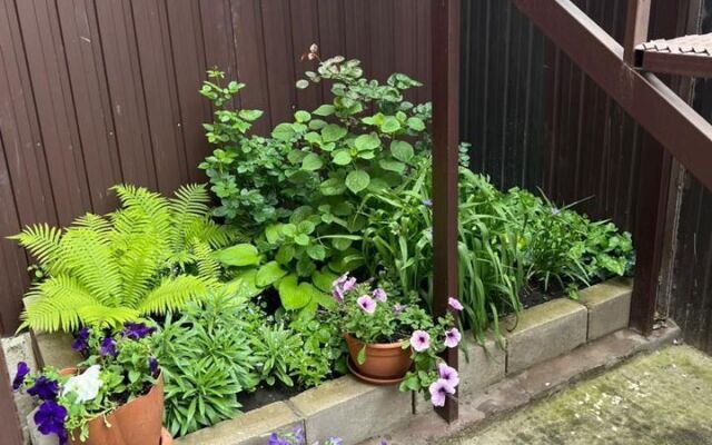 Квартира на Дмитрия Донского 2А (2)