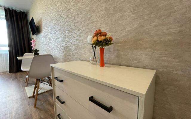 Квартира Миника