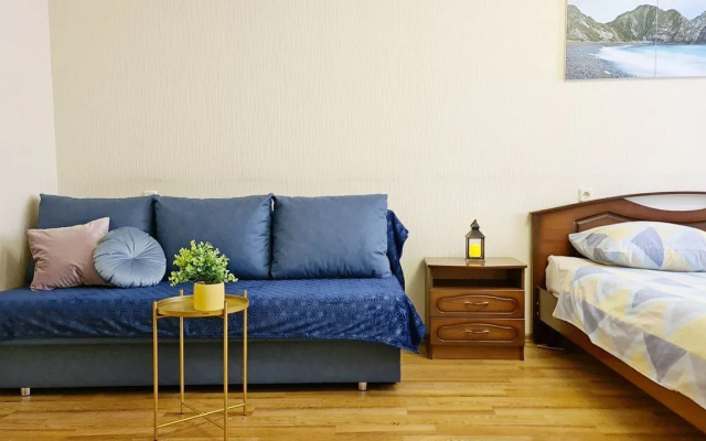 Апартаменты на 2-м переулке Мира 26 (44)