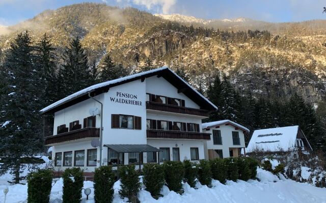 Pension Waldkrieber Mini-Hotel