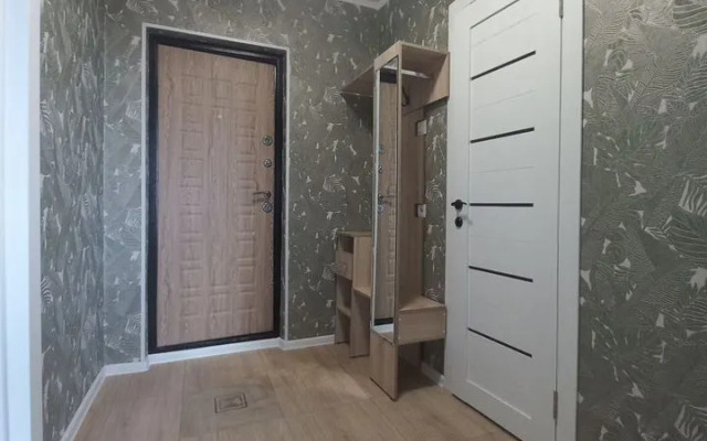 Na Radischeva  Flat