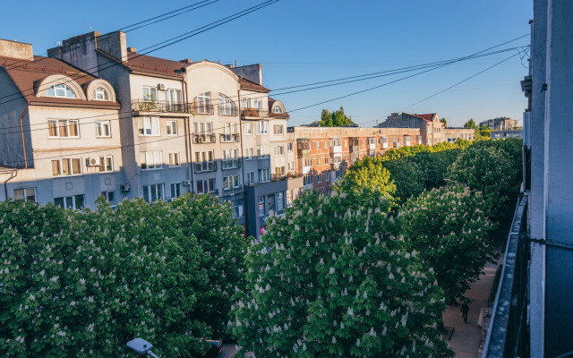 Privet, YA V Centre Flat