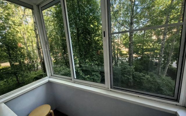 Квартира 1-комнатная квартира в расширенном центре рядом с Консерваторией